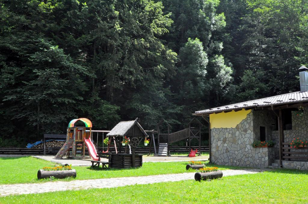 Pensiunea Denisa Lunca Bradului Extérieur photo
