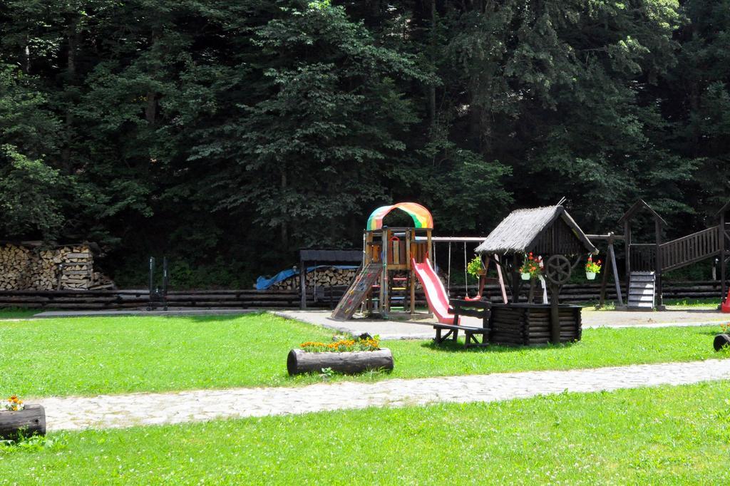 Pensiunea Denisa Lunca Bradului Extérieur photo