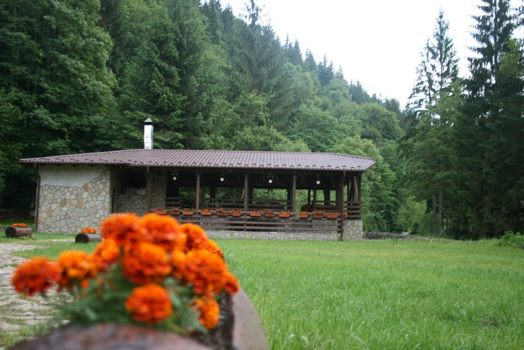 Pensiunea Denisa Lunca Bradului Extérieur photo